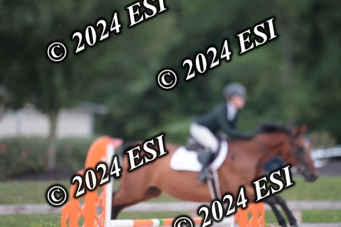 208SC1_1505