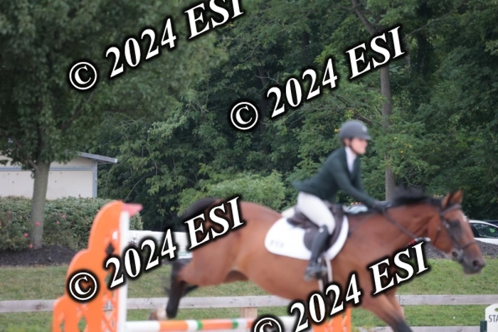208SC1_1506
