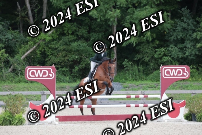 208SC1_1509