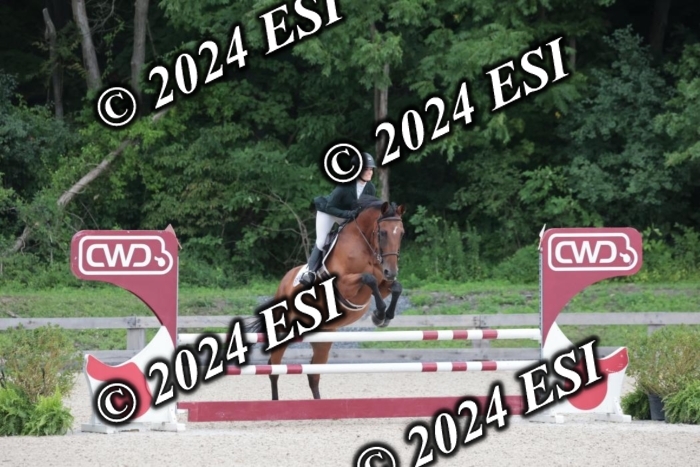 208SC1_1510