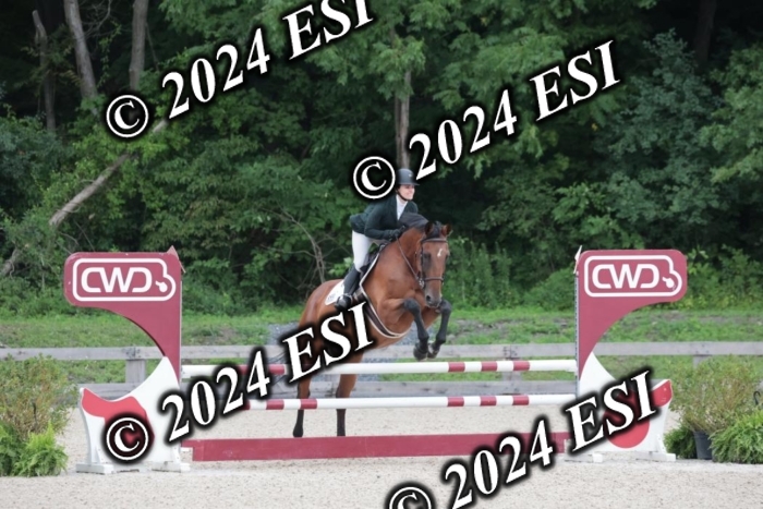 208SC1_1511
