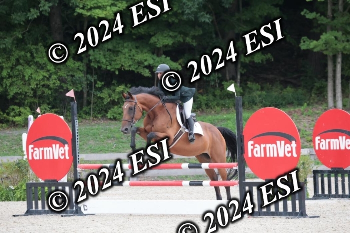 208SC1_1516