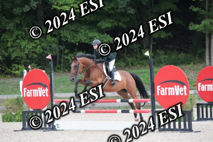 208SC1_1517