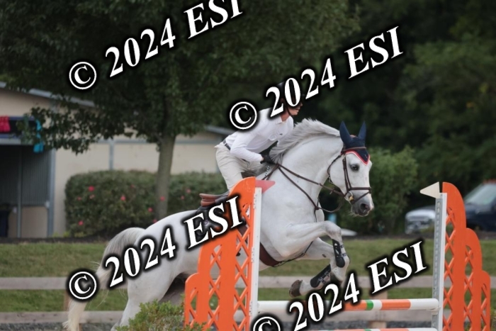 208SC1_1523