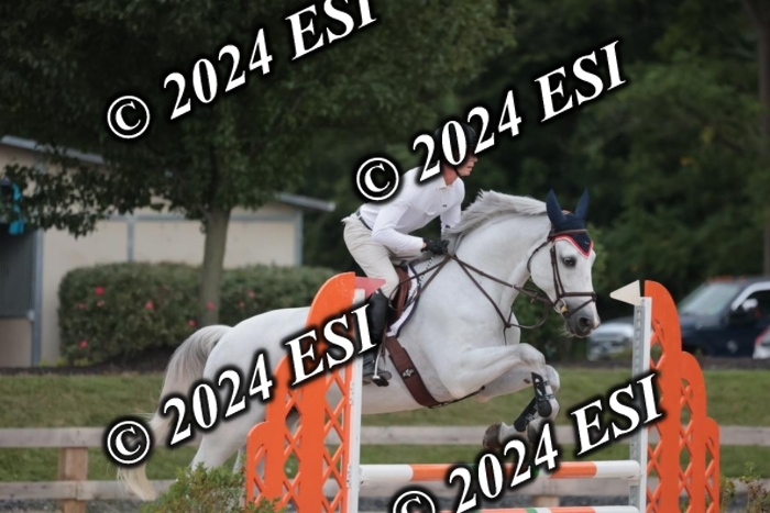 208SC1_1524