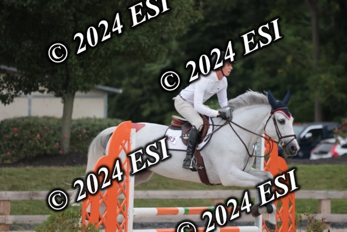 208SC1_1526
