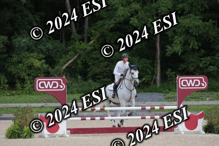 208SC1_1527