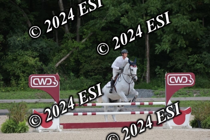 208SC1_1529