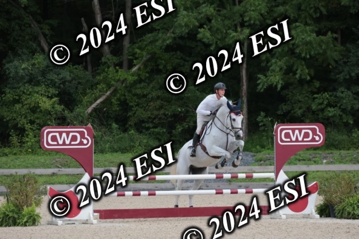 208SC1_1531