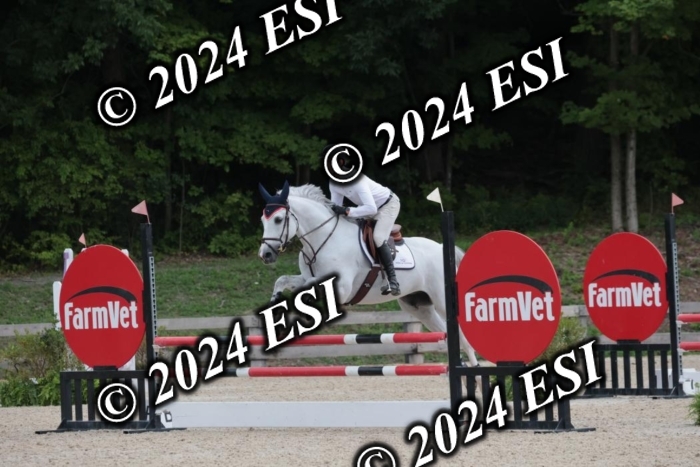 208SC1_1533