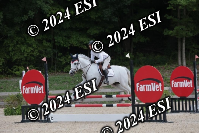 208SC1_1534