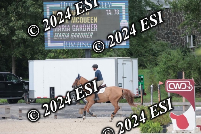 208SC1_1536