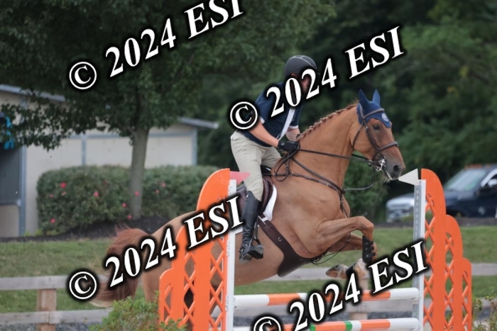 208SC1_1541