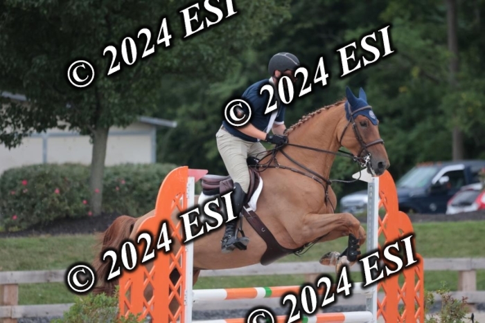 208SC1_1542