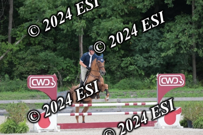 208SC1_1546