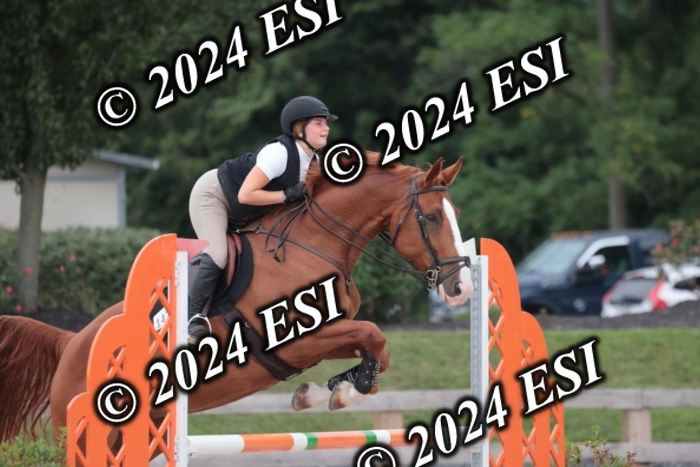 208SC1_1553