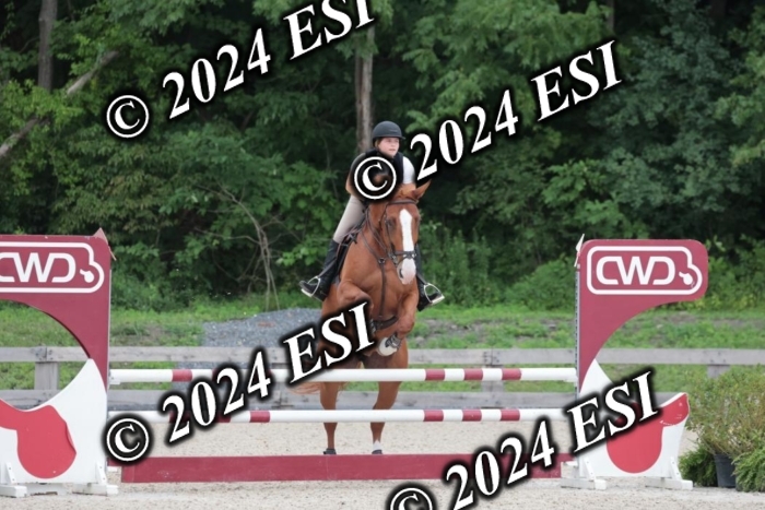 208SC1_1557