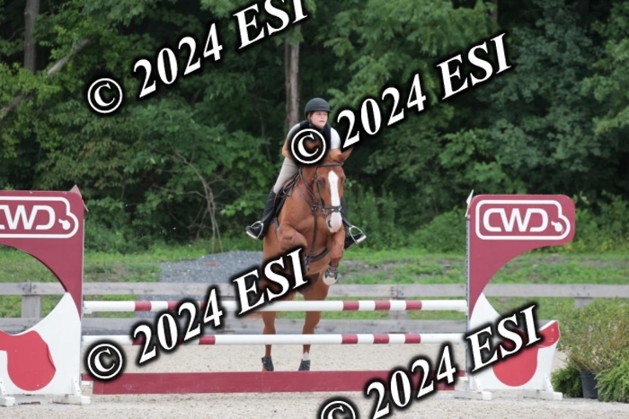208SC1_1558