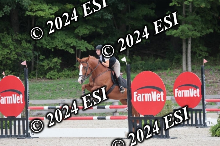 208SC1_1559