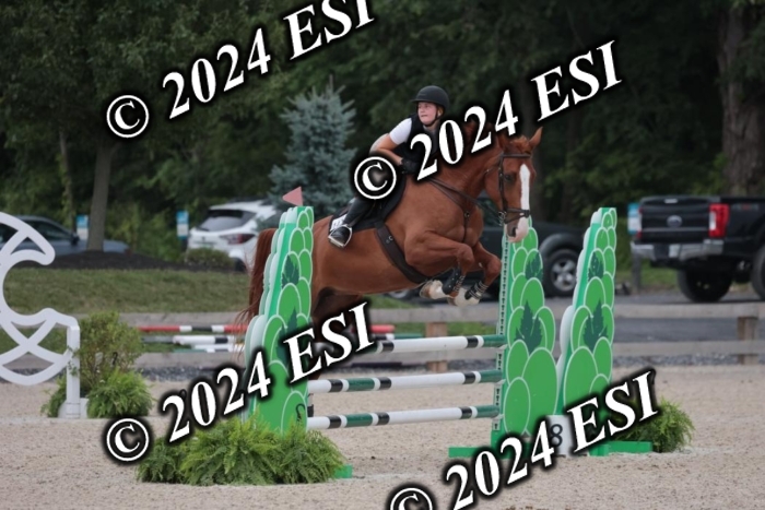 208SC1_1566