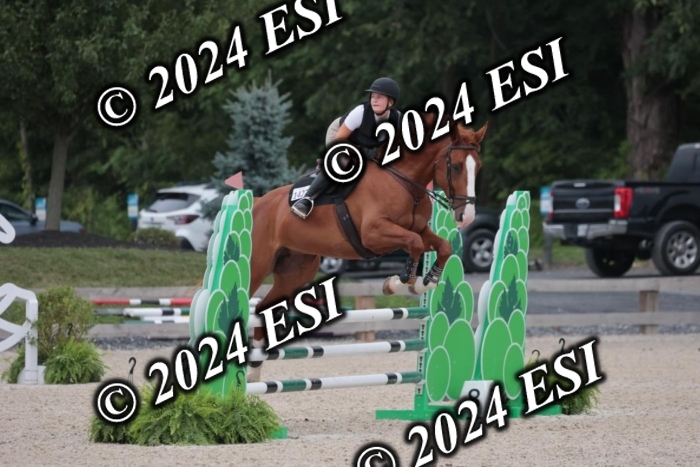 208SC1_1567
