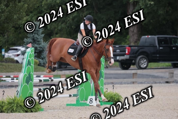 208SC1_1571