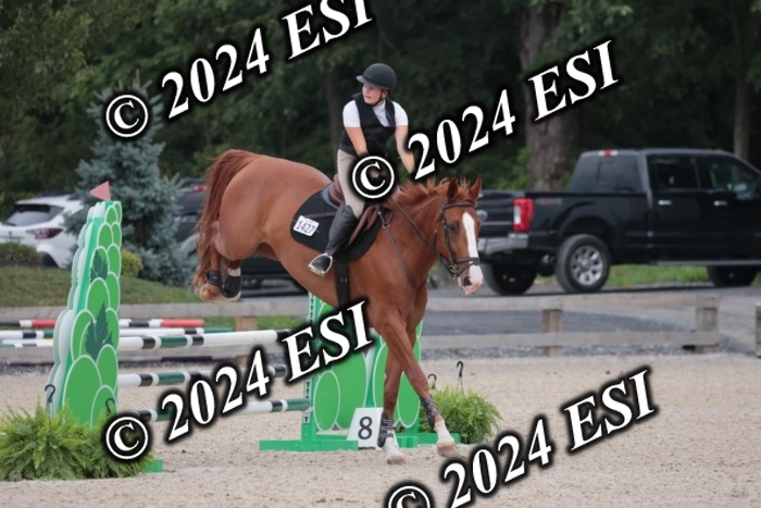 208SC1_1572