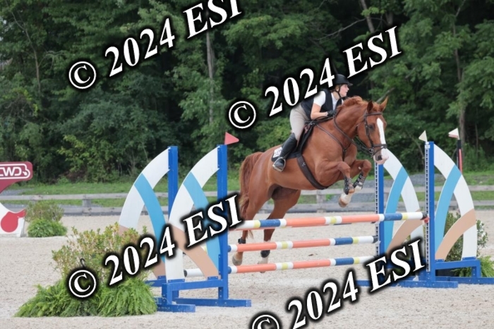 208SC1_1577
