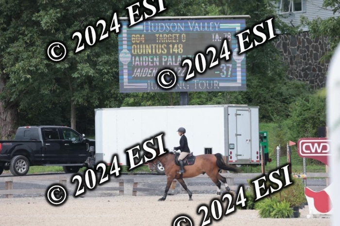 208SC1_1580