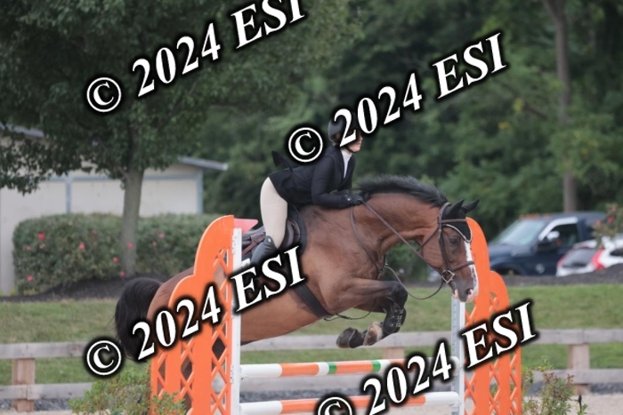 208SC1_1584