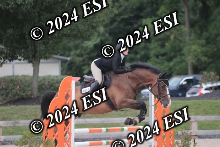 208SC1_1585