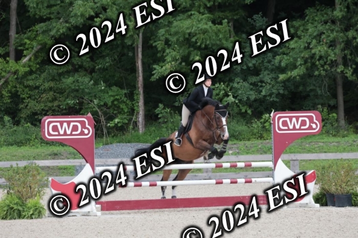 208SC1_1590