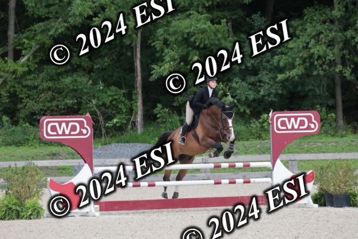 208SC1_1591