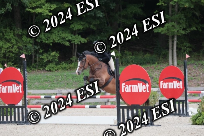 208SC1_1595