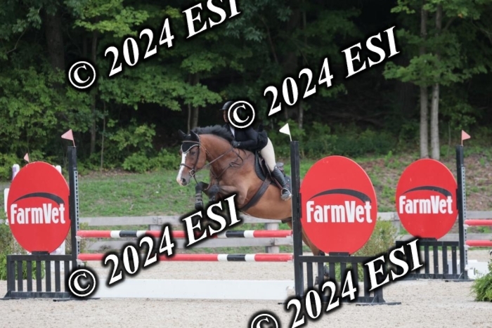 208SC1_1596