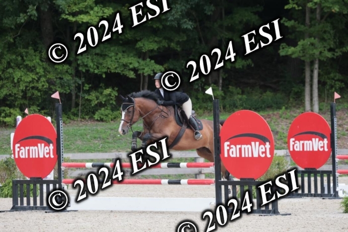 208SC1_1597