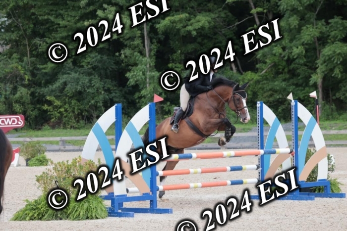 208SC1_1603