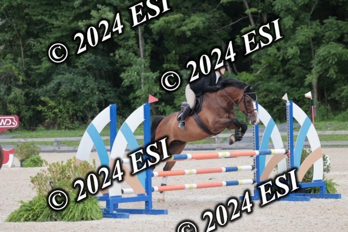 208SC1_1604
