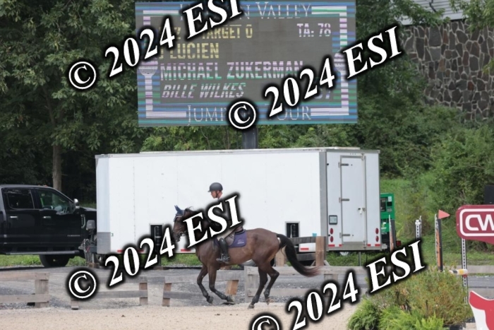 208SC1_1607