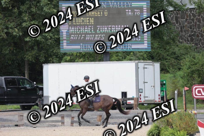 208SC1_1608
