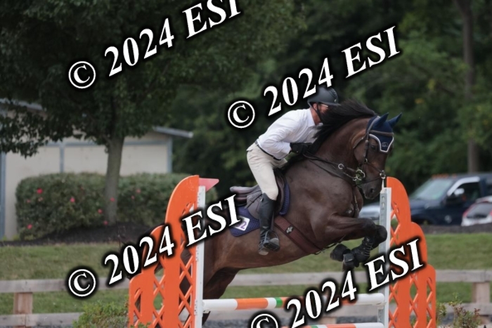 208SC1_1613
