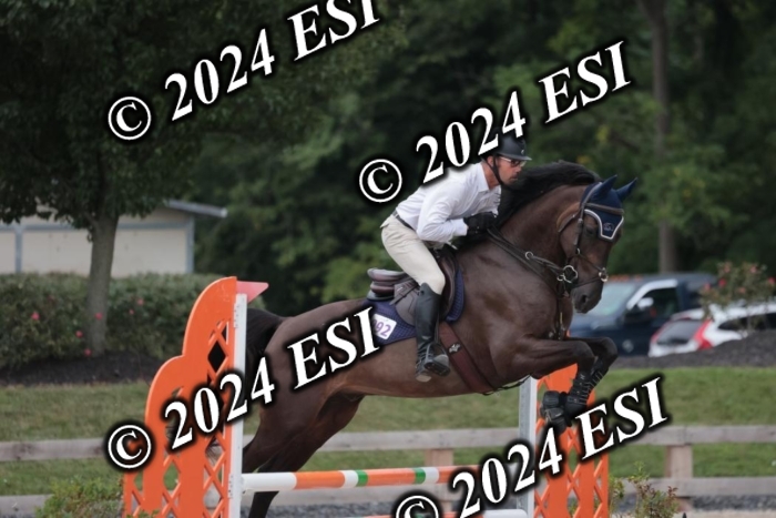 208SC1_1614