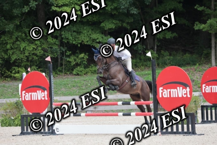 208SC1_1621
