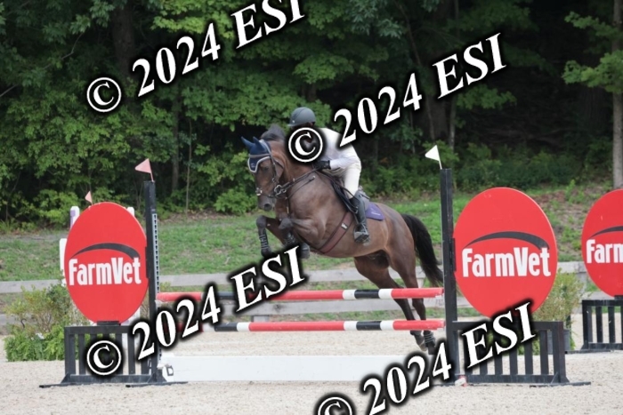208SC1_1622