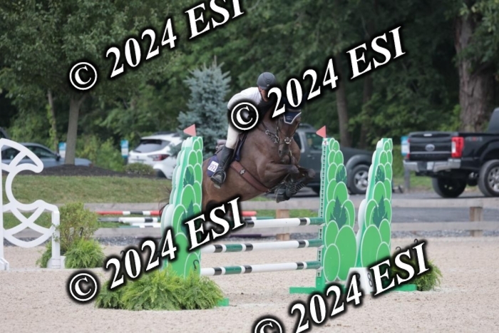 208SC1_1627