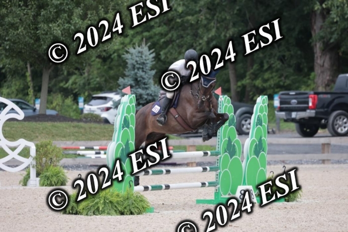 208SC1_1628