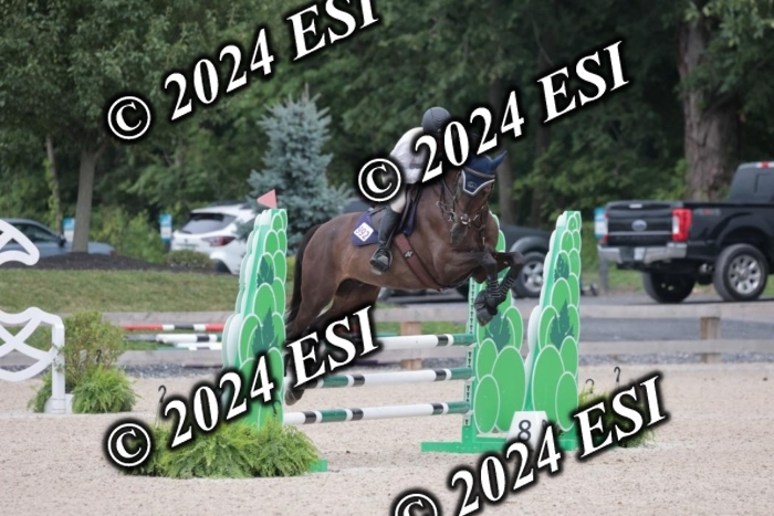 208SC1_1629