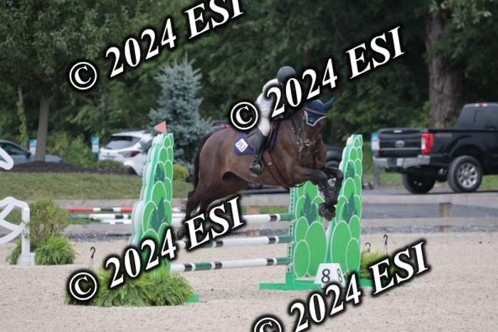 208SC1_1630