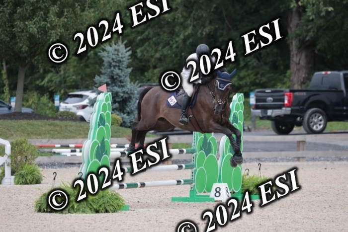 208SC1_1631