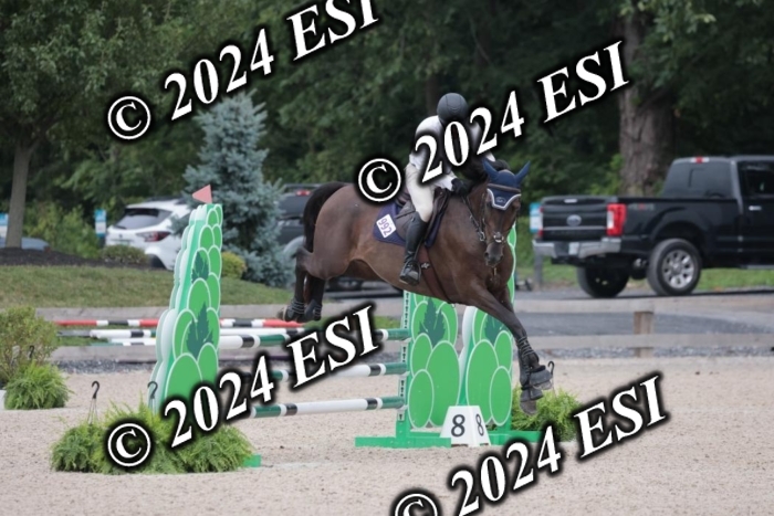 208SC1_1632